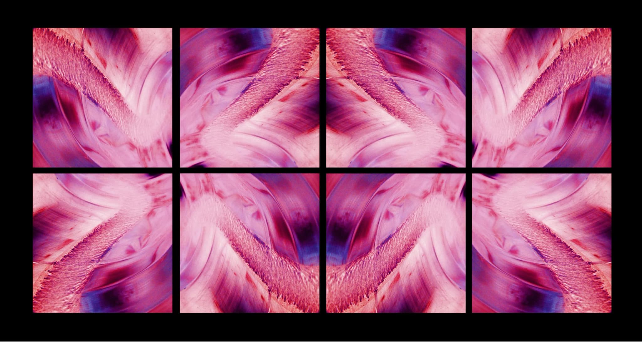 Carmine Fold